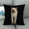 Fat Orange Cat Print Cushion Cover 45x45cm by Axyaa: Animal Pattern Home Decor Pillowcase