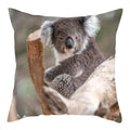 Axyaa Koala Panda Polyester Pillow Cover 45x45cm