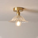Axyaa Glass Pendant Ceiling Lamp for Home Decor Lighting