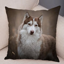 Axyaa Siberian Husky Pet Sofa Cushion Cover - Cute Dog Print Pillowcase