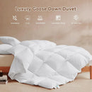 Axyaa Palatial King All Season Comforter, 750+FP Organic Fiber, Ultra Soft Hotel Bed
