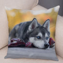 Axyaa Siberian Husky Pet Sofa Cushion Cover - Cute Dog Print Pillowcase