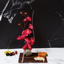 Axya Sakura Sushi Boat Tray Dosh - Peach Blossom Decorative Flower Plants