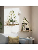 Axyaa Ivy Led Floating Wall Shelf: Boho Home Decor, Plant Tray Pot Holder