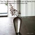 Axyaa Glass Vase: Modern Zen Hydroponics Floral Insert for Home and Office Decor