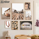 Axyaa Wine Vineyard Wall Art Canvas Print - Nordic Living Room Decor
