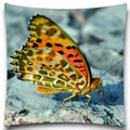 Axyaa Spider & Butterfly Print Decorative Pillow Case for Home Decor