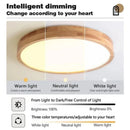 Axyaa Round Wood Grain LED Ceiling Light for Home Decor Lighting