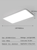Axyaa Rectangular Highlight Ceiling Lamp for Modern Living Room, Bedroom Lighting