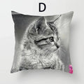 Cat Pattern Cushion Cover 45x45cm - Ideal Sofa & Home Decor Gift by Axyaa