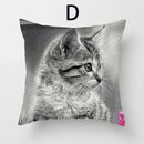 Cat Pattern Cushion Cover 45x45cm - Ideal Sofa & Home Decor Gift by Axyaa