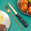 Axyaa Stainless Steel Tableware Set, 48pcs, Dishwasher Safe, Steak Knife, Classic Design