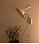 Axyaa Nordic Horn Wall Lamp: Creative Rotatable Wall Light for Modern Living Room