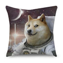 Axyaa Funny Pattern Cushion Cover for Home Sofa Decor