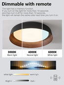 Axyaa Nordic LED Ceiling Light: Remote Control Chandelier for Bedroom Living Room Aisle