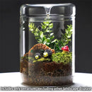 Axyaa Glass Bottle Dew Collection Micro Landscape Glass Vase Terrarium Home Decor
