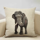 Axyaa Elephant Pattern Decorative Cushion Cover 45x45cm