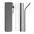 Axyaa Stainless Steel Smoothie Straws - Set of 6 with Cleaning Brush
