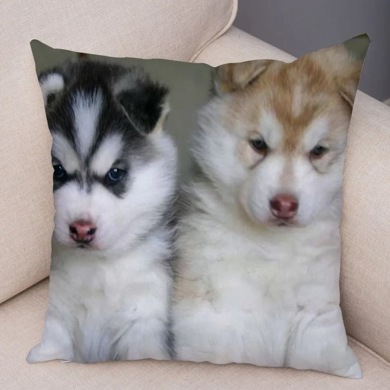 Siberian Husky Pillowcase - Axyaa Animal Cushion Cover, Decor, Cute, Dog Print
