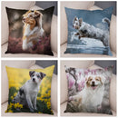 Axyaa Australian Shepherd Pillow Cover - Cute Dog Animal Cushion