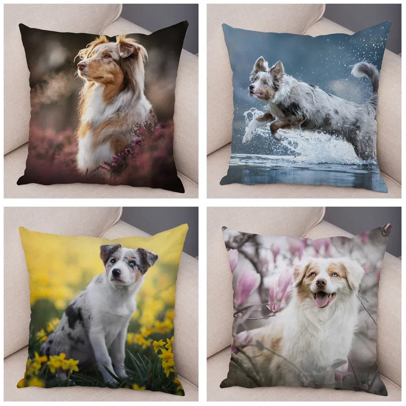 Axyaa Australian Shepherd Pillow Cover - Cute Dog Animal Cushion