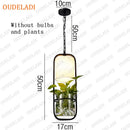 Axyaa Hydroponic Plant Table Lamp for Living Room and Bedroom