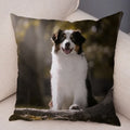 Axyaa Australian Shepherd Pillow Cover - Cute Dog Animal Cushion