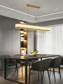 Axyaa LED Gallery Pendant Light for Home Decor, Living Room, Bedroom, Dining Room