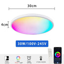 Axyaa Smart RGB Ceiling Light: WiFi Voice Control, App Control, Alexa & Google Home Integration