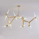 Axyaa Satellite LED Chandelier for Home Decor Lighting