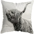 Axyaa Highland Cat Cow Yak Animal Pillowcase for Stylish Home Decor