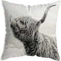 Axyaa Highland Cat Cow Yak Animal Pillowcase Home Decor Sofa Decoration