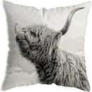 Axyaa Highland Cat Cow Yak Animal Pillowcase Home Decor Sofa Decoration