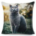 Axyaa British Shorthair Russian Blue Cat Cushion Cover - Cute Pet Animal Pillowcase