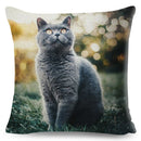 Axyaa British Shorthair Russian Blue Cat Cushion Cover - Cute Pet Animal Pillowcase