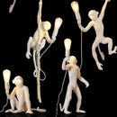 Axyaa Nordic Resin Monkey LED Pendant Chandelier for Home Decor Lighting