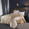 Axyaa Mulberry Silk Duvet Cover Queen Skin Beauty Comforter Cover Bed Blanket