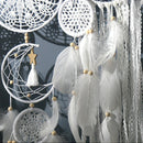 Feathers Dream Catcher Set for Home Decor by Axyaa