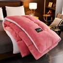 Axyaa Super Warm Winter Lamb Wool Quilt - Double Sided Velvet Soft Blanket
