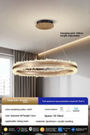 Axyaa Modern Ring Ceiling Chandelier Luxury Pendant Lamp
