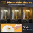 Axyaa LED Trichromatic Dimming Table Lamp for Bedroom Atmosphere Lighting