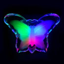 Axyaa Butterfly LED Night Light for Children's Room Decoration