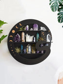 Black Snake Butterfly 3-Tier Floating Wall Shelf by Axyaa