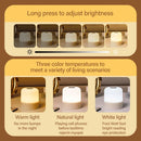 Axyaa Rechargeable LED Night Light: 3 Colors Dimmable Bedside Lamp
