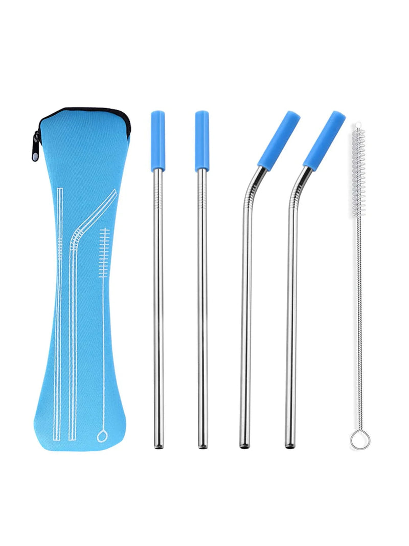 Axyaa Stainless Steel Reusable Straw Set with Cleaning Brush and Cover