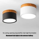 Axyaa LED Macaron Ceiling Downlight for Indoor Living Room - Nordic Spot Light