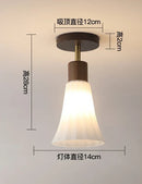 Axyaa LED Glass Ceiling Light Chandelier for Home Living Room Bedroom