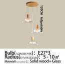Axyaa Solid Wood Glass Pendant Light for Bedroom Living Room Restaurant