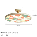 Modern Colorful Iron Acrylic Ceiling Light for Home, Villa, Bedroom, Restaurant & Foyer
