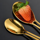Axyaa Stainless Steel Cutlery Set - Knife, Fork, Spoon, Teaspoon & Dessert Spoon